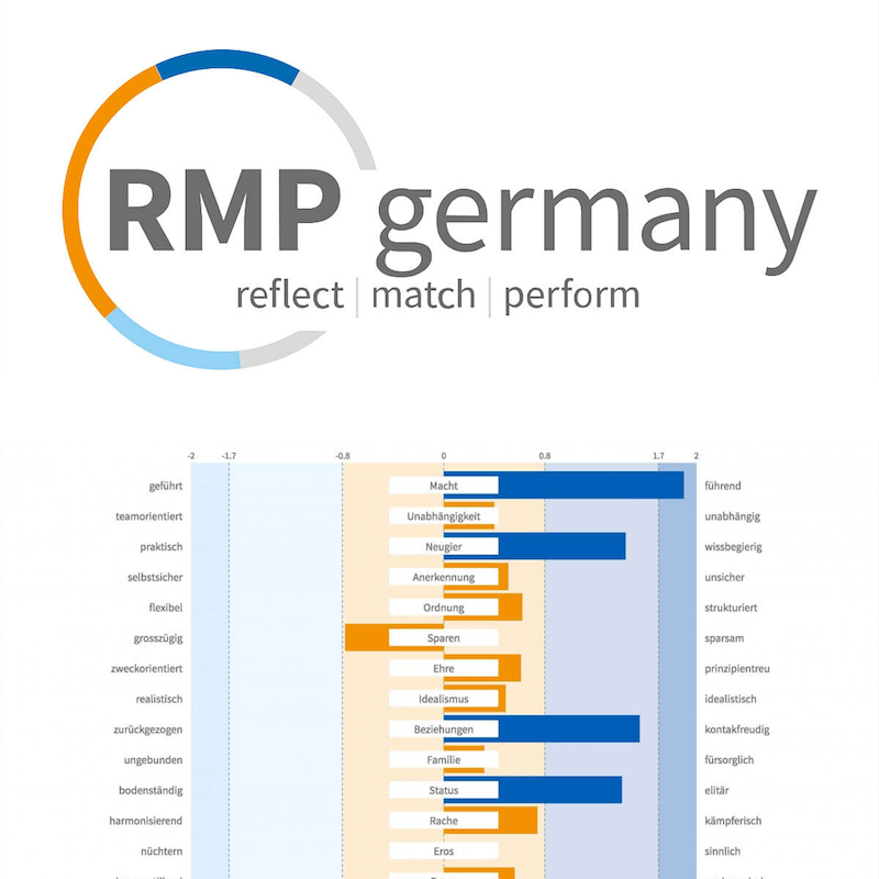 Gründer Analyse mit dem Reiss Profile